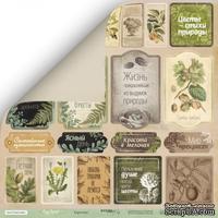 Лист односторонней бумаги для скрапбукинга  от Scrapmir - Карточки (RU) - Cozy Forest, 30х30 - ScrapUA.com