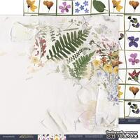 Аркуш двостороннього паперу 30x30 від Scrapmir з колекції Herbarium Wild summer - ScrapUA.com