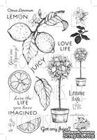 Набор акриловых штампов от Flourishes - Life, Love and Lemons Stamp Set