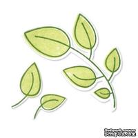 Нож для вырубки  и штамп от Sizzix - Framelits Die Set 6PK w/Stamps - Leaves - Листья, 6 шт, арт SX657917 - ScrapUA.com