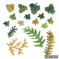 Ножи от Sizzix - Sizzix Thinlits Die Set 12PK - Leaves, Fern &amp; Ivy - ScrapUA.com