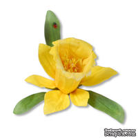 Ножи от Sizzix - Sizzix Thinlits Die Set 12PK - Flower, Daffodil - ScrapUA.com