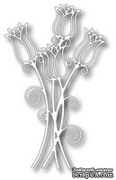 Ножи от TUTTI - Tulip Bunch - ScrapUA.com