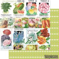 Лист скрапбумаги Webster&#039;s Pages - Grow With Me, двусторонняя, 30х30 см - ScrapUA.com