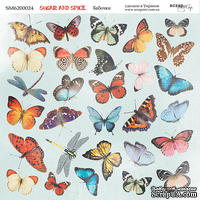 Лист двусторонней бумаги от Scrapmir - Бабочки -  Sugar and Spice, 20х20см