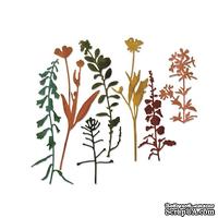 Ножи для вырубки от Sizzix (design by Tim Holtz) - Thinlits - Wildflowers #2, 7 шт - ScrapUA.com