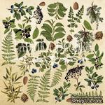 Лист для вырезания №2 Botany summer (eng.), ТМ Фабрика Декору - ScrapUA.com