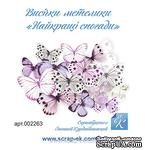 Набор высечек от Евгения Курдибановская ТМ - Бабочки - &quot;Найкращі спогади&quot;, 16 шт. - ScrapUA.com