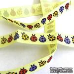 Лента Eyelet Outlet - LadyBug Ribbon, ширина 15 мм, длина 90 см - ScrapUA.com