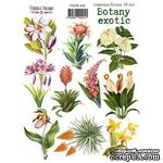 Набор наклеек (стикеров) 10 шт Botany exotic 204, ТМ Фабрика Декора - ScrapUA.com