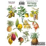 Набор наклеек (стикеров) 10 шт Botany exotic 209, ТМ Фабрика Декора - ScrapUA.com