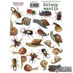 Набор наклеек (стикеров) 24 шт Botany exotic 212, ТМ Фабрика Декора - ScrapUA.com
