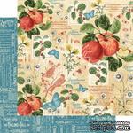 Лист бумаги Graphic 45 - Time to Flourish - September Flourish, размер 30х30 см, двусторонняя - ScrapUA.com