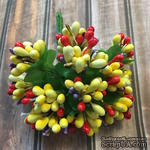 Веточки с ягодками, цвет желтый, красный, 12 штук - ScrapUA.com