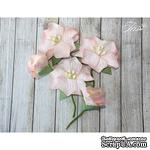 Набор цветов TM Iris - Blossom Персиковые, 5 шт - ScrapUA.com