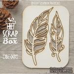 Чипборд ScrapBox - Набор Птичьи перья №2 - ScrapUA.com