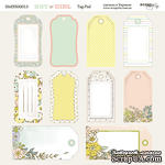 Лист двусторонней бумаги от Scrapmir - Tag-Pad - Boy or Girl, 20х20см  - ScrapUA.com