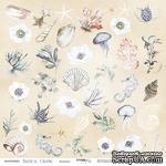 Лист односторонней бумаги от Scrapmir - Элементы - Nautical Graphic, 30x30см - ScrapUA.com