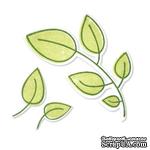 Нож для вырубки  и штамп от Sizzix - Framelits Die Set 6PK w/Stamps - Leaves - Листья, 6 шт, арт SX657917 - ScrapUA.com