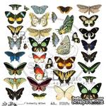 Лист скрапбумаги от ABstudio - Scrapbooking paper ABstudio - Butterfly Effect 30х30см - ScrapUA.com