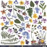 Лист односторонней бумаги 30x30 от Scrapmir Декор из коллекции Herbarium Wild summer - ScrapUA.com