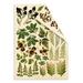 Набір двосторонніх картинок для вирізання Botany summer 15х20см, ТМ Фабрика Декору - ScrapUA.com